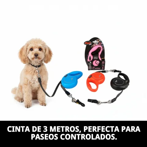 Correa Flexi New Classic XS en uso con perro pequeño