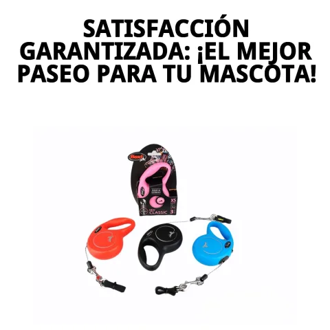 Perro pequeño caminando con correa extensible Flexi New Classic XS