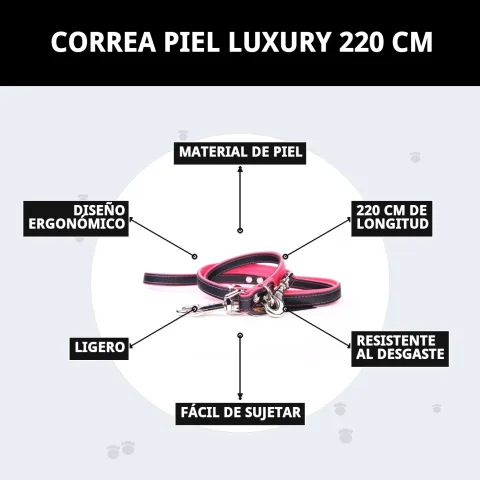 Embalaje y presentación de la correa piel luxury