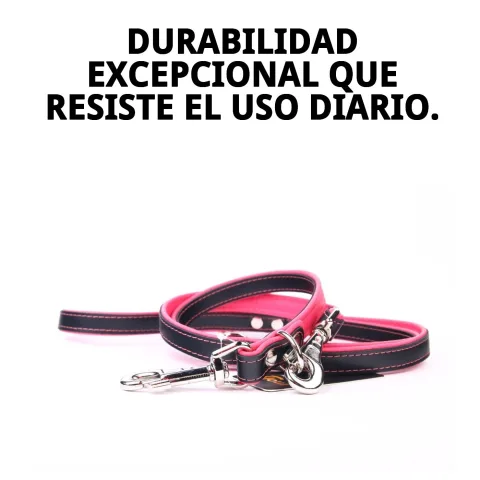 Correa luxury enrollada sobre fondo blanco