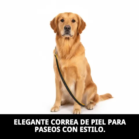 Cierre metálico resistente de la correa de piel Luxury Huella