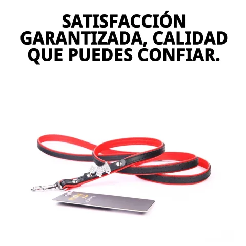 Correa Luxury Joya junto a otros accesorios de piel para perros