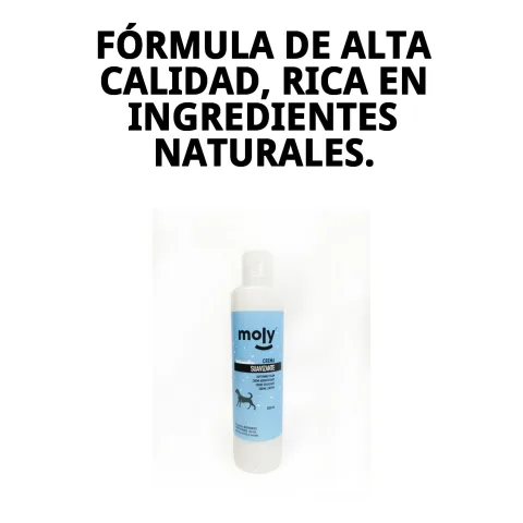 Cepillado de perro con pelaje desenredado tras uso de crema Moly