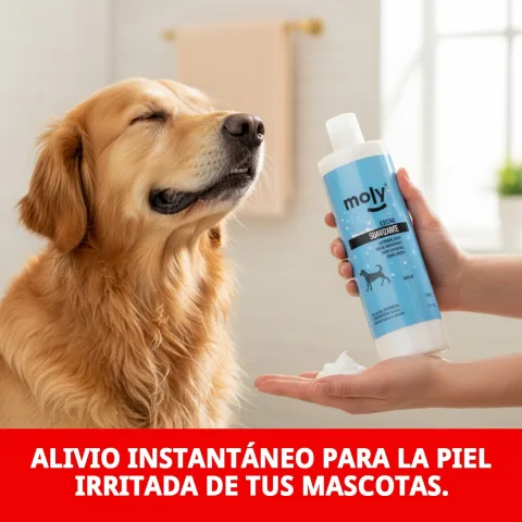 Application de la crème adoucissante sur pelage humide de chien