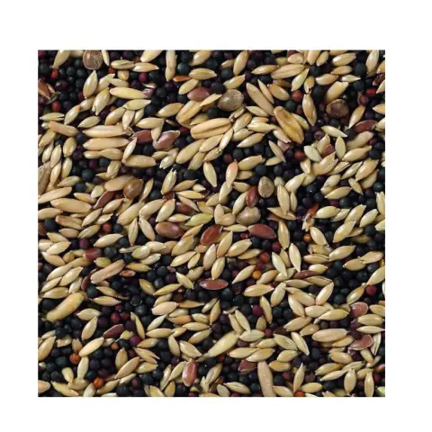 Détail des graines sélectionnées Deli Nature Canaris Base