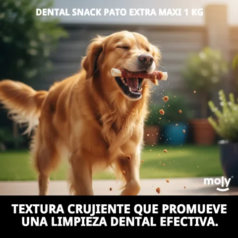 Snack pour chiens moyens et grands à base de viande de canard naturelle