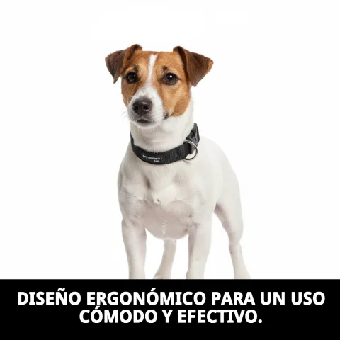 Perro usando collar DOG CONTROL N.1 durante entrenamiento de paseo