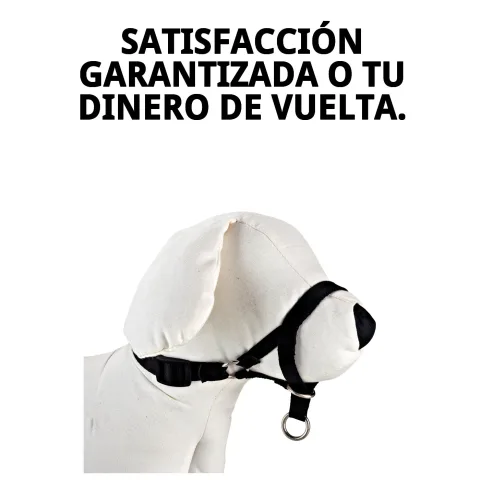 Collar DOG CONTROL N.1 con correa para control de postura canina