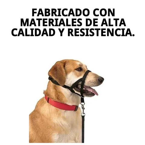 Material resistente del collar Dog Control N.4 en primer plano