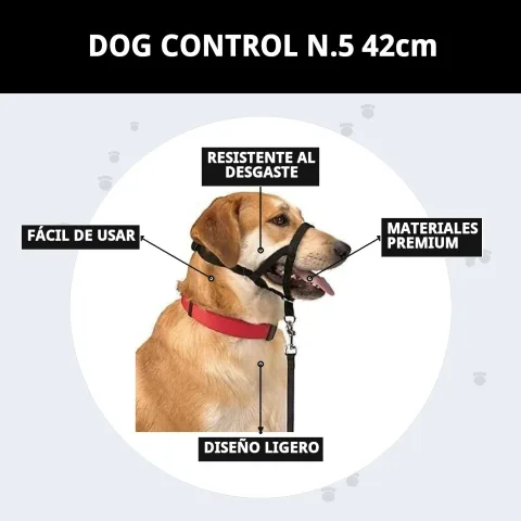Collar Dog Control N.5 en uso durante adiestramiento canino