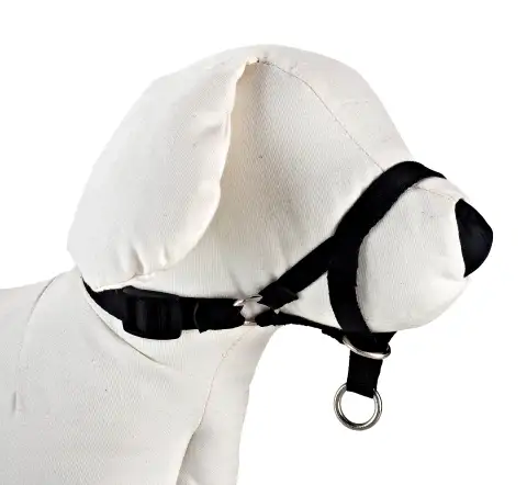 Vista lateral del collar Dog Control N.5 para perros