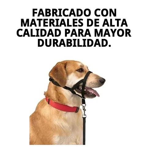 Collar Dog Control N.5 mostrando su sistema de control