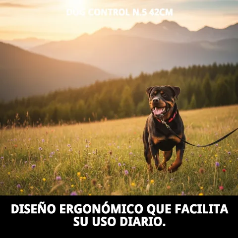 Detalle del anillo de dirección del collar Dog Control N.5