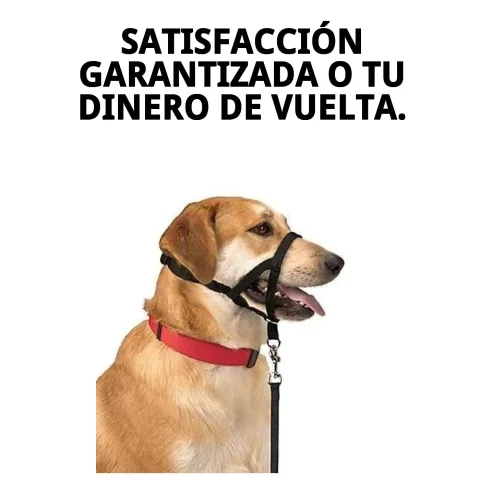 Embalaje del collar Dog Control N.5 para venta online