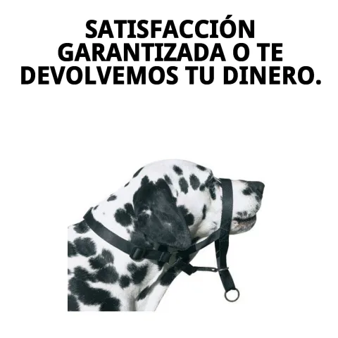 Bozal DOG CONTROL N.7 para uso seguro en espacios públicos