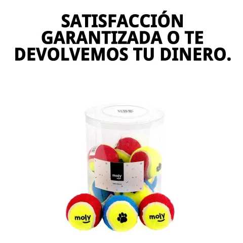 Pack complet de 10 balles de tennis pour chiens actifs