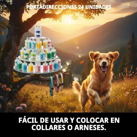 Portadirecciones adaptados a collar de gato doméstico