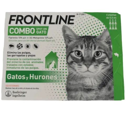 Détail application pipette Frontline Combo sur chat