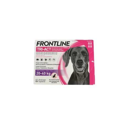 Détail d'une pipette FRONTLINE TRI-ACT pour chiens moyens