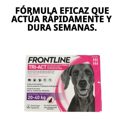 Protection antiparasitaire contre puces et tiques avec FRONTLINE TRI-ACT