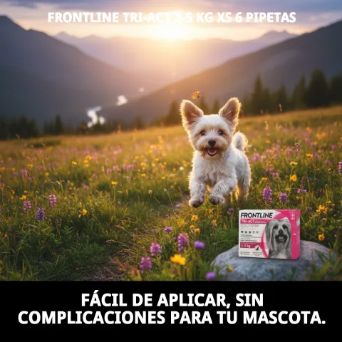 Illustration de la protection contre moustiques et leishmaniose avec Frontline Tri-Act