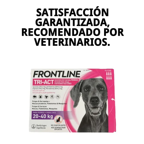 Chien calme après application de FRONTLINE TRI-ACT 20-40 KG