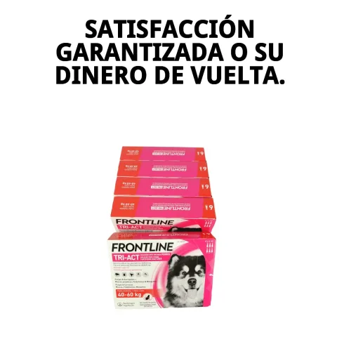 Protection contre puces et tiques avec Frontline Tri-Act XL