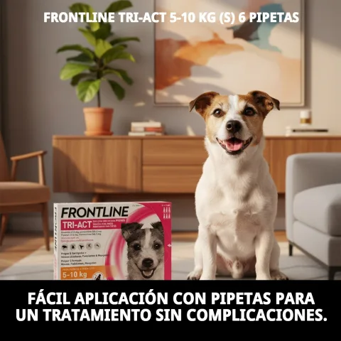Chien protégé avec FRONTLINE TRI-ACT 5-10 KG