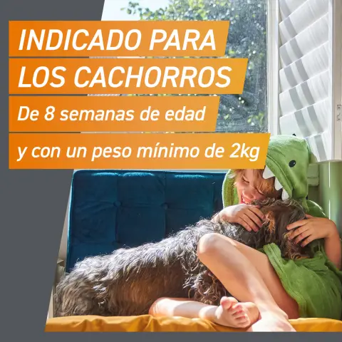 Envase de 3 comprimidos FRONTPRO 136 mg para perros de 25 a 50 kg