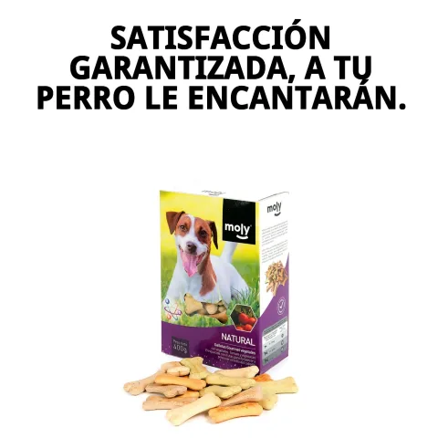 Galletas Gourmet Vegetales Moly junto a otros snacks para perros