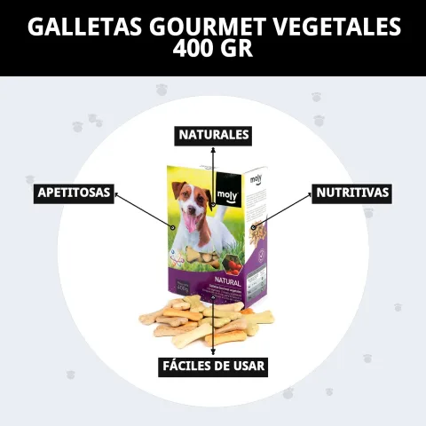 Uso de galletas vegetales Moly durante entrenamiento canino