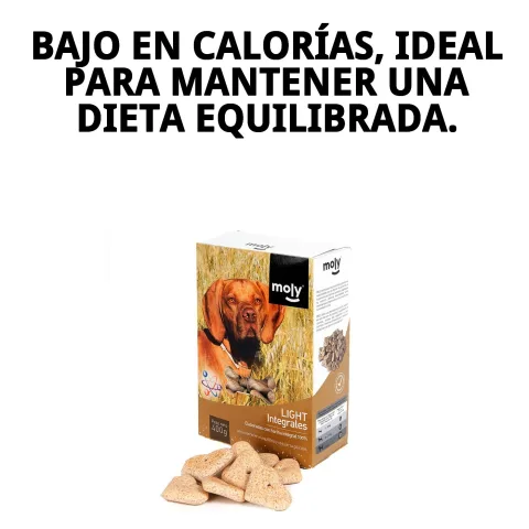 Galletas light integrales para perros en mano
