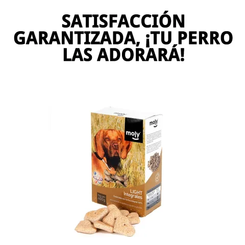 Galletas light integrales junto a plato de agua para perros