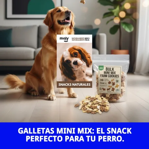 Close-up de galletas Moly sin colorantes artificiales