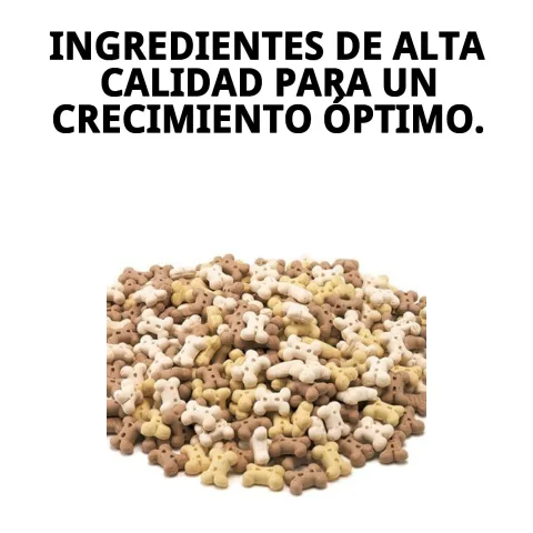 Detalle de galletas Puppy Moly para perros en crecimiento