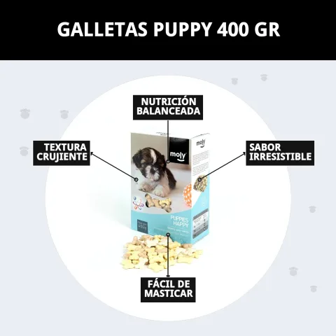 Galletas Puppy Moly apiladas mostrando su tamaño y forma