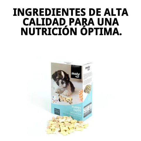 Mano ofreciendo Galleta Puppy Moly a cachorro