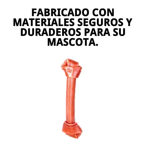Perro disfrutando del hueso con nudo Moly