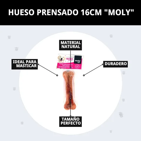 Perro disfrutando del snack natural hueso prensado Moly