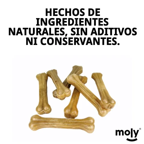 Perro pequeño disfrutando de un hueso prensado de piel bovina