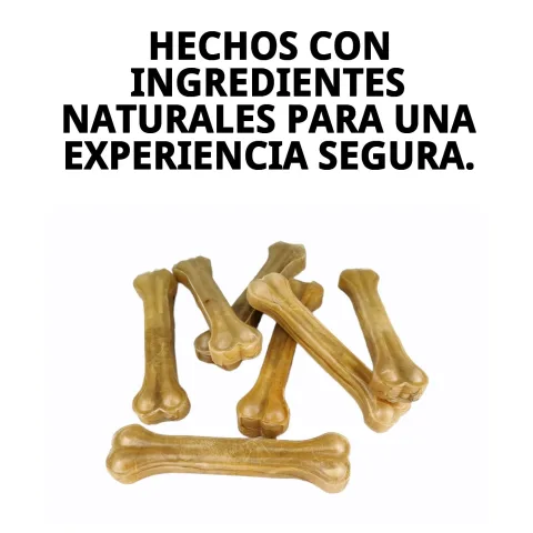 Perro pequeño disfrutando hueso prensado natural Moly