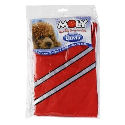 Perro pequeño con impermeable reflectante en paseo bajo lluvia
