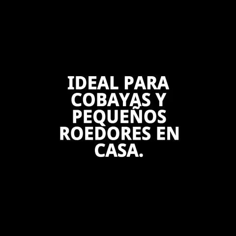 Jaula para cobayas N2 con accesorios internos instalados
