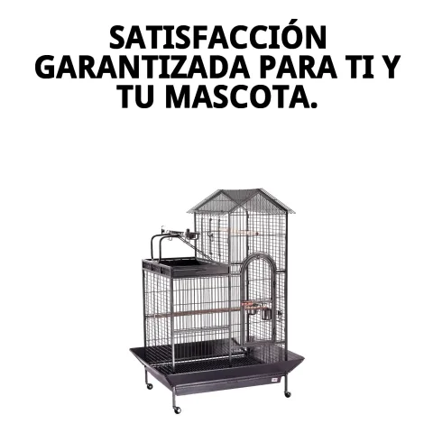 Cage pour guacamays en intérieur