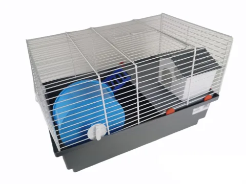 Détail de la roue d'exercice et de la maisonnette dans la cage hamster