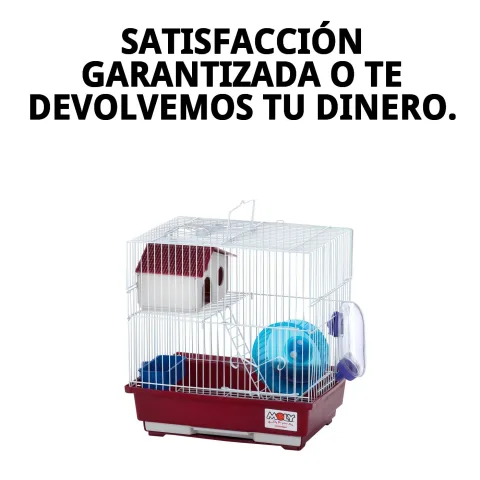 Jaula hámster N.2 en ambiente doméstico