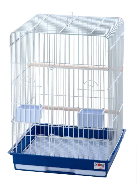 Détail des grilles métalliques de la cage Hawai