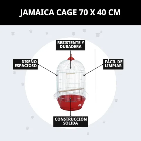 Cage Jamaica en environnement domestique sécurisée pour animaux