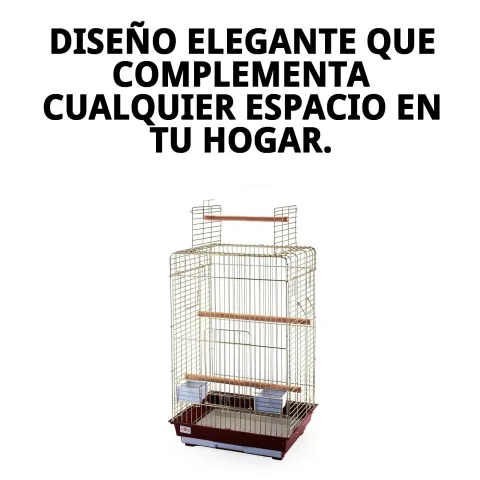 Intérieur de la cage Malawi Dorée avec espace pour animal