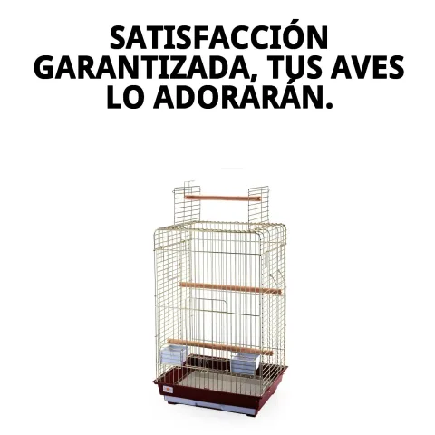 Vue aérienne de la cage Malawi Dorée